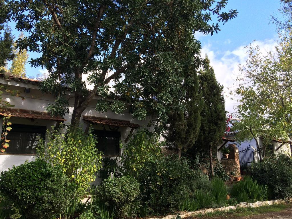 Cortijo El Berrocal Affittacamere Cazalla de la Sierra Esterno foto