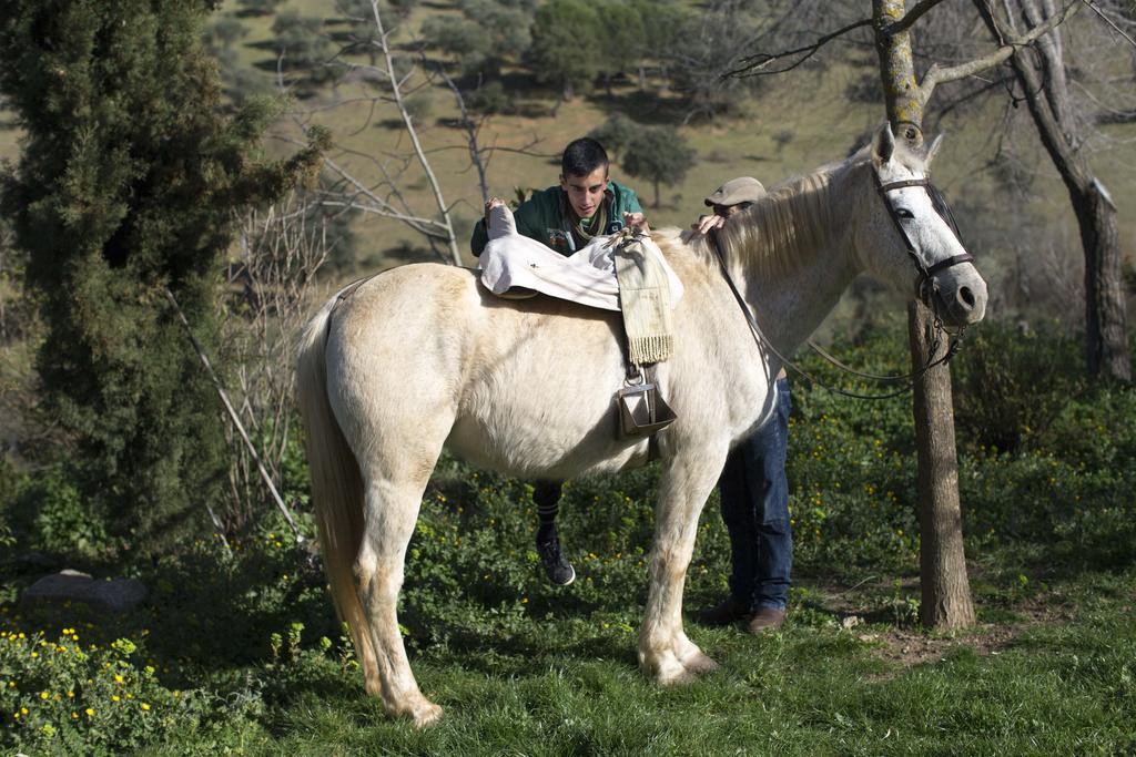 Cortijo El Berrocal Affittacamere Cazalla de la Sierra Esterno foto