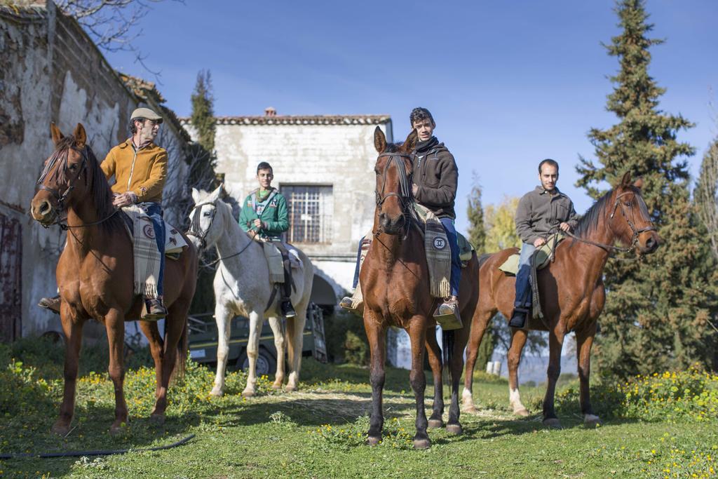 Cortijo El Berrocal Affittacamere Cazalla de la Sierra Esterno foto